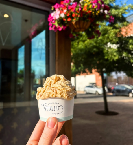 Velluto_Gelato_Hereford