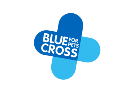 Blue Cross