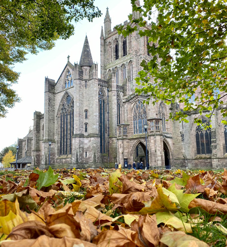 Autumn Promotions 2022