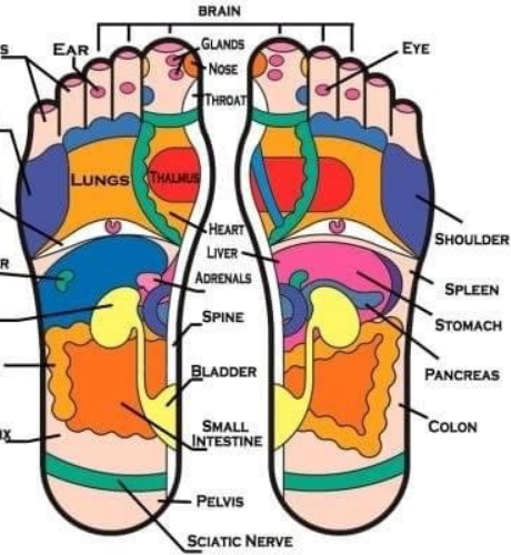 Finding Your Feet - Reflexology