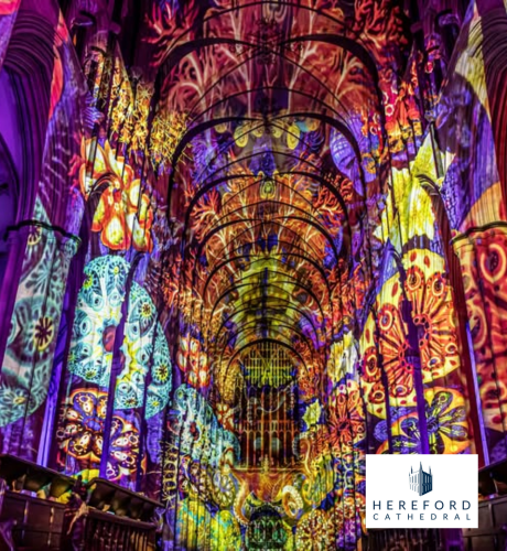 Immersive Light Show