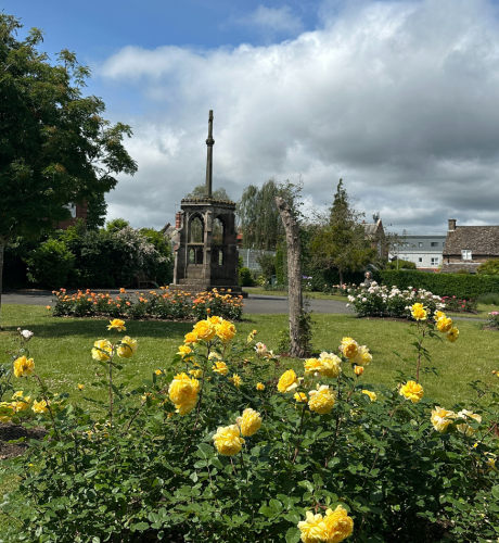 Blackfriars Ruins and Rose Garden