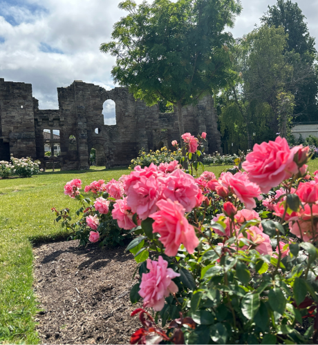 Blackfriars Ruins and Rose Garden